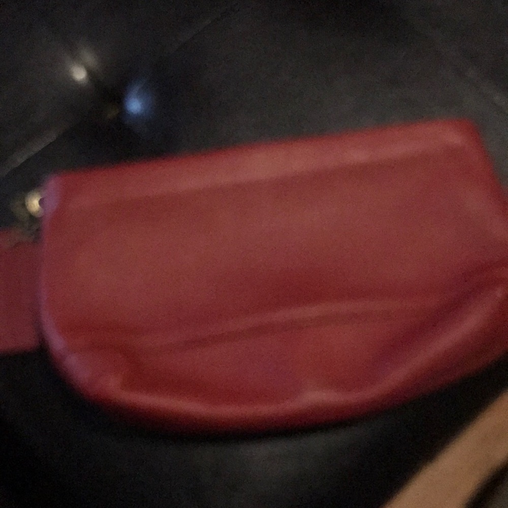 Coach makeup case?, never used, leather
